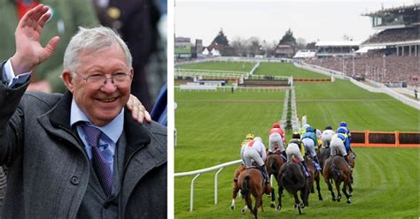 results cheltenham